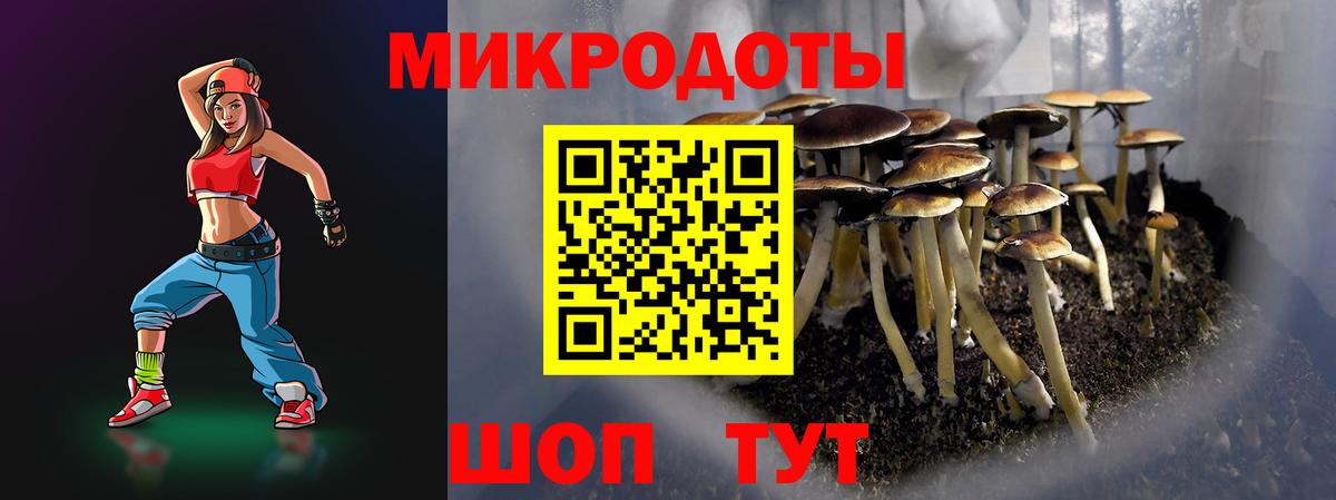 Черкесск  Галлюциногенные грибы Psilocybe  Вход с VPN 